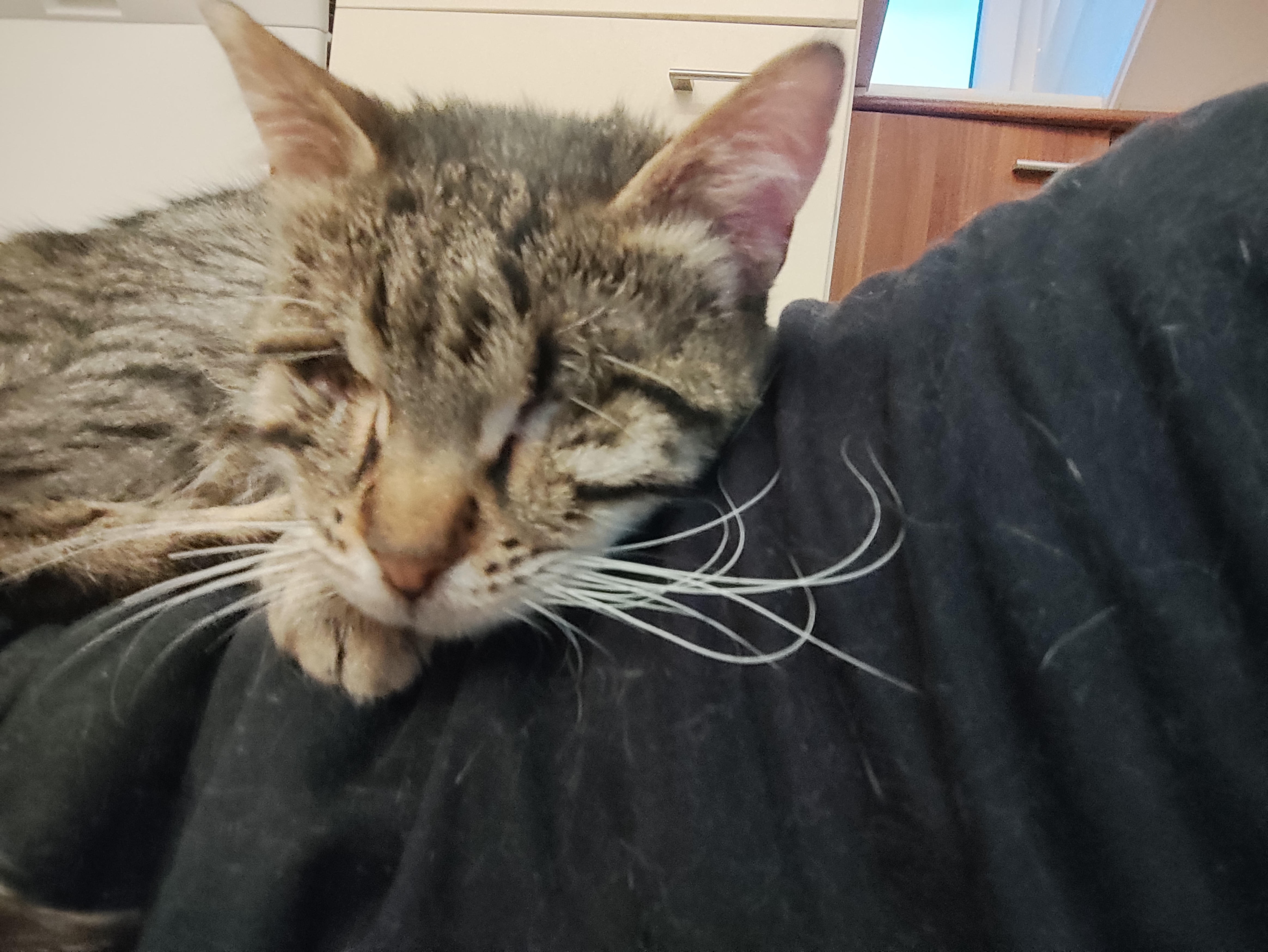 Marko