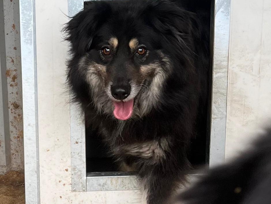 💖Wunderschöne Arwen💖