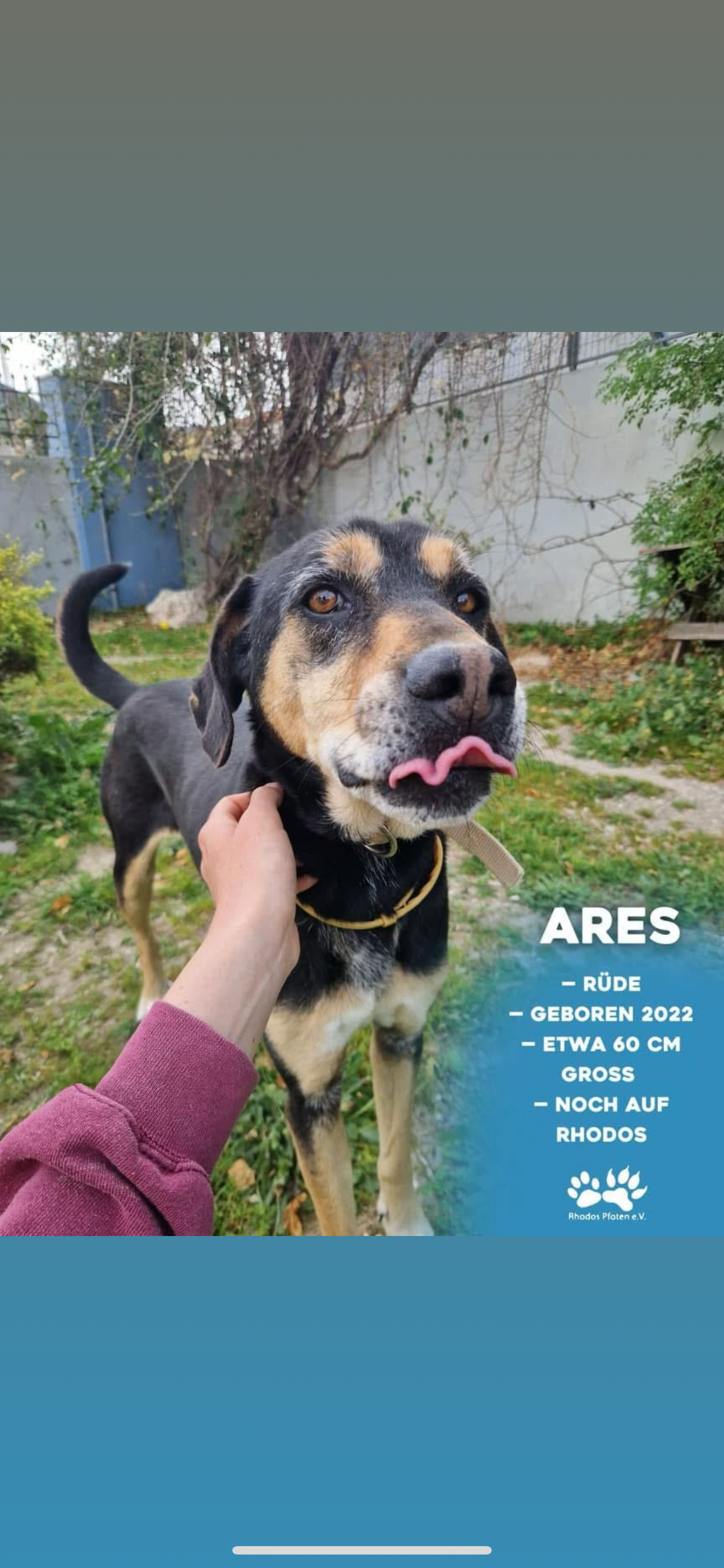 Ares