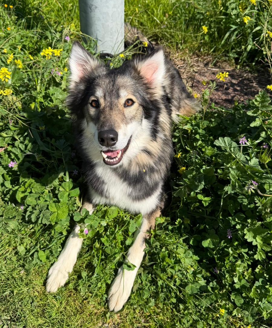 Nina