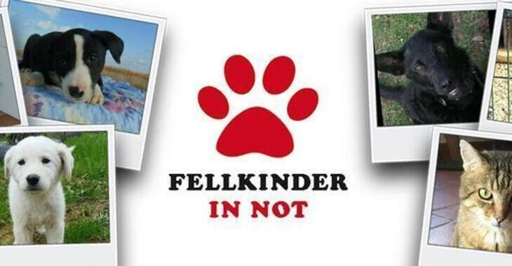 Fellkinder in Not e.V.