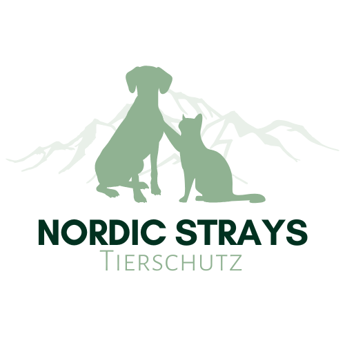 Kontaktbild von Jeanette Maschke