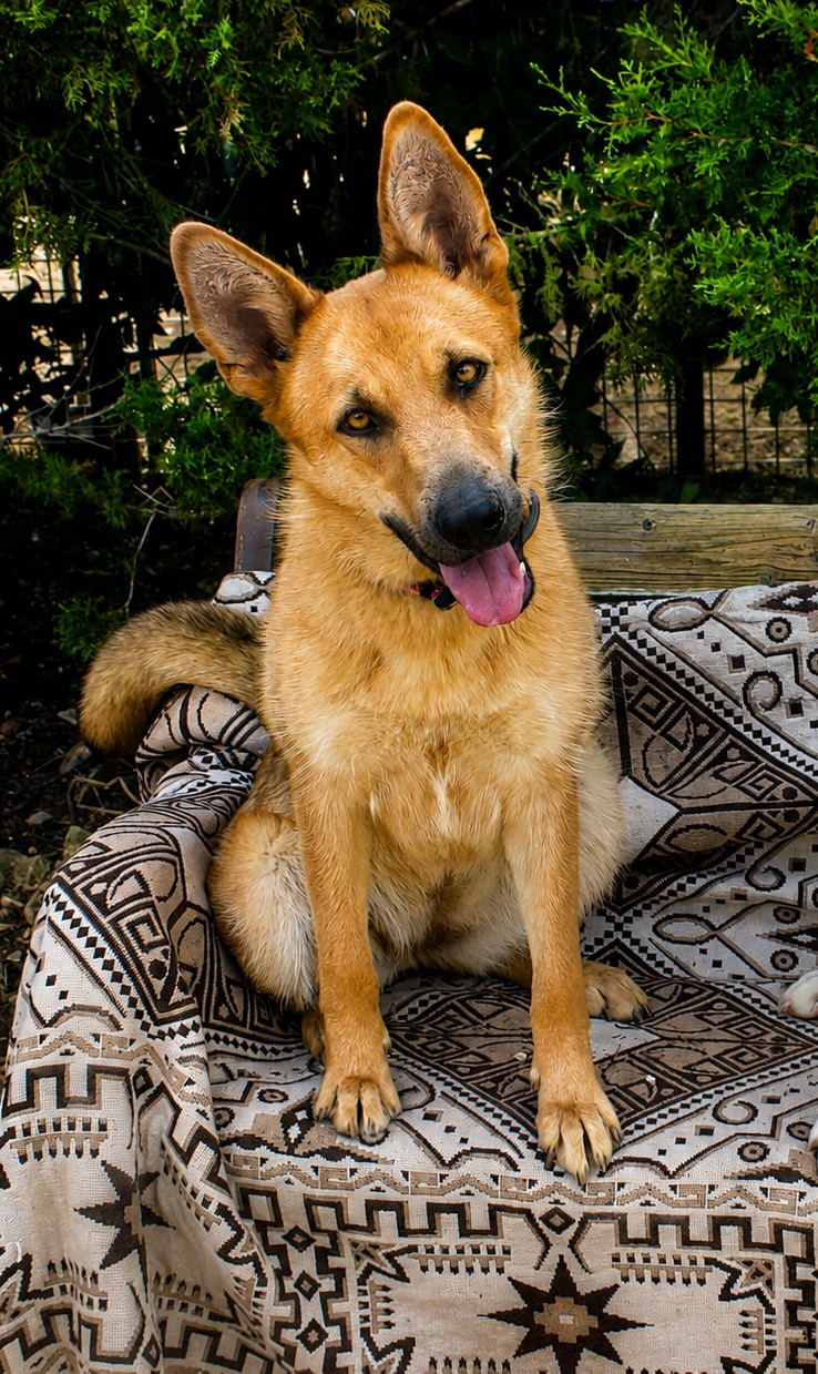 Luna
