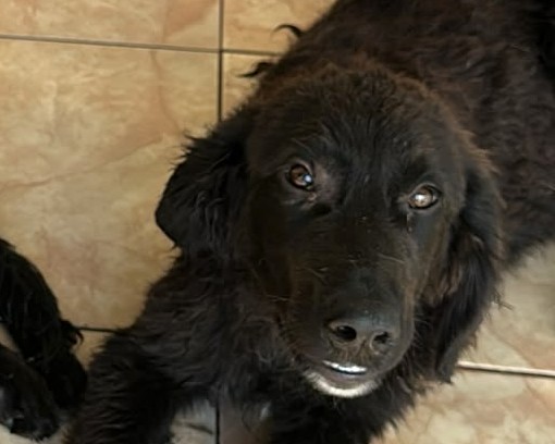 Balou💕bereit für die Welt