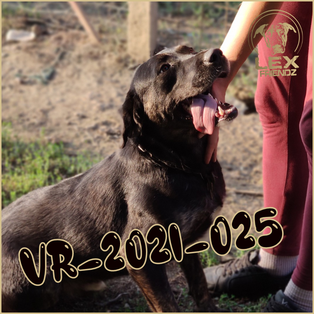 VR-2021-025