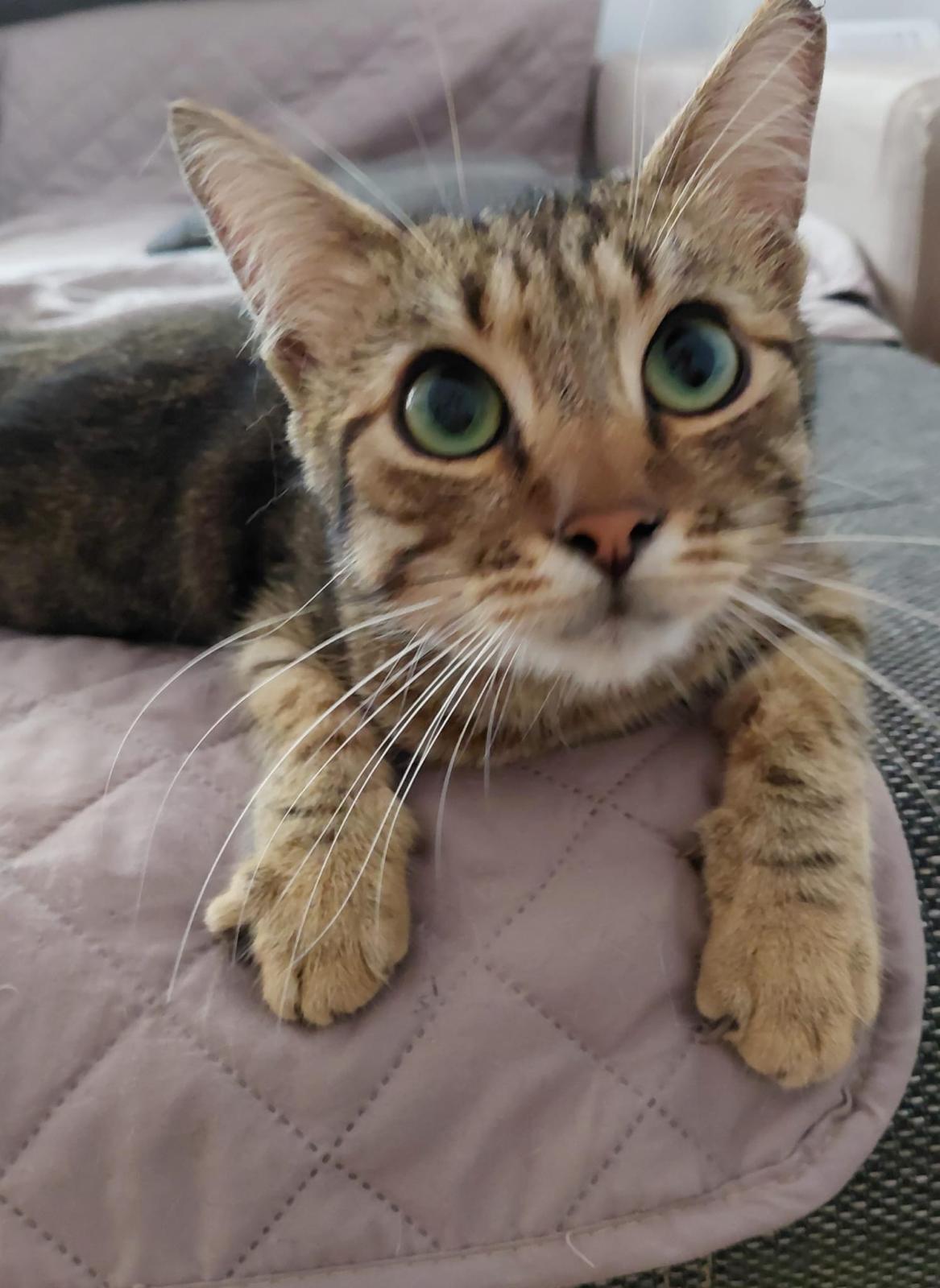 ❤️ Liebevolle Daisy❤️
