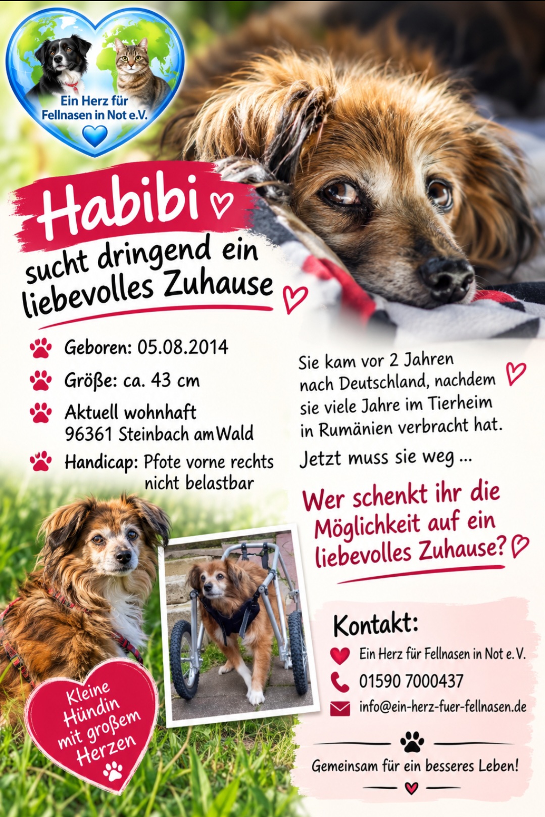 Habibi 🐕!!NOTFALL!!