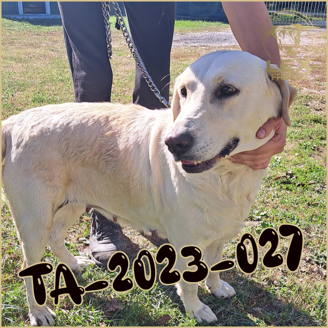 TA-2023-027