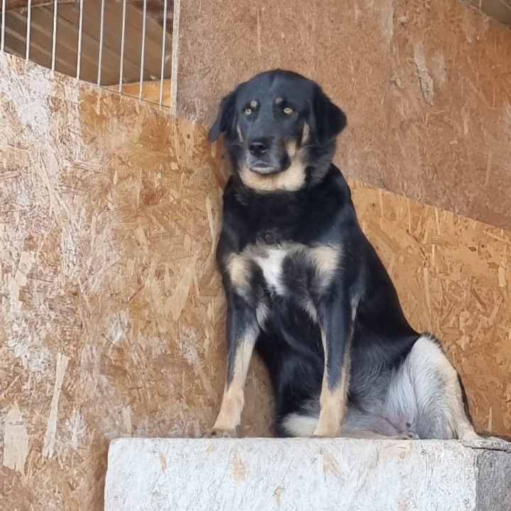 Pina 🐾