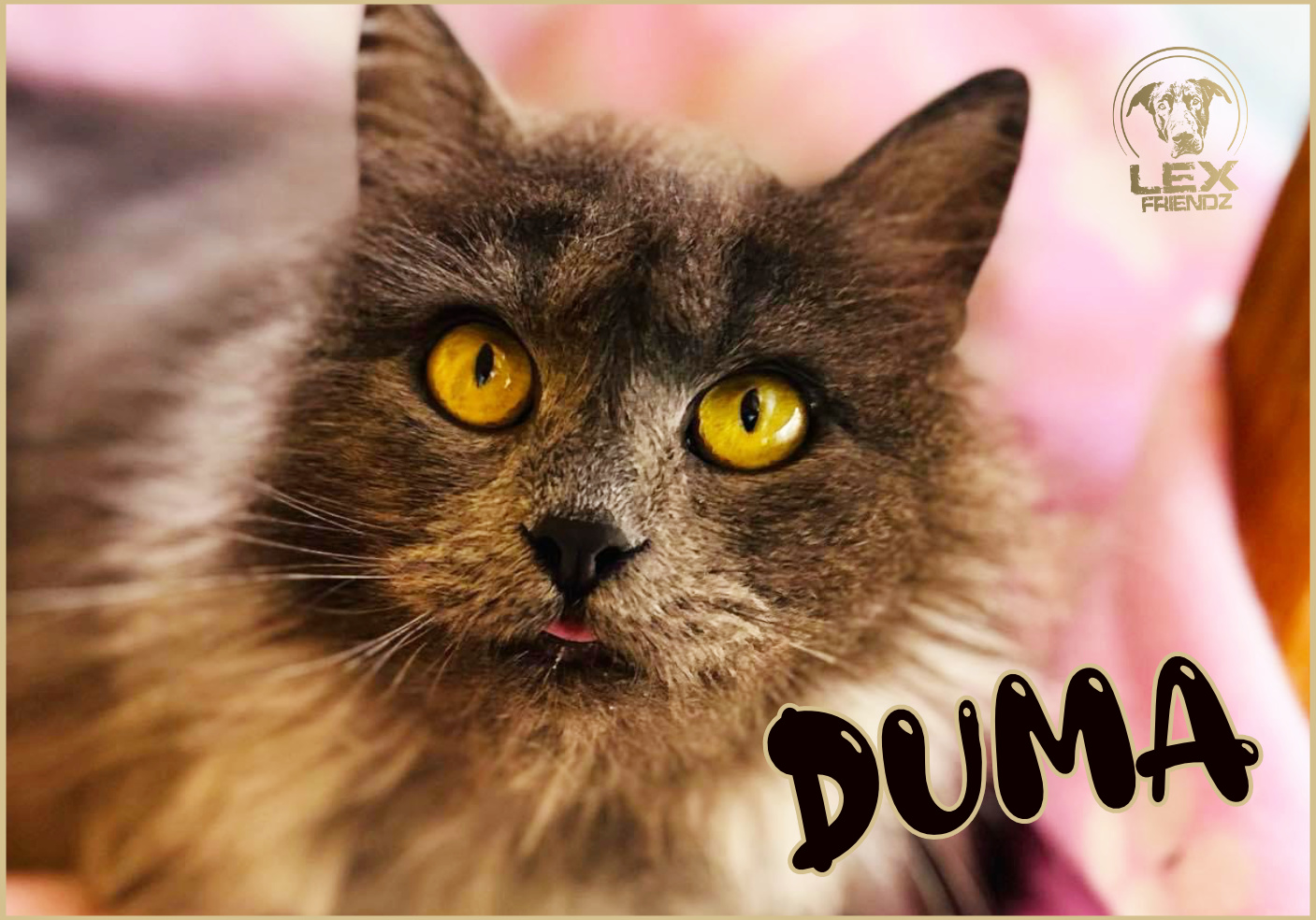 DUMA