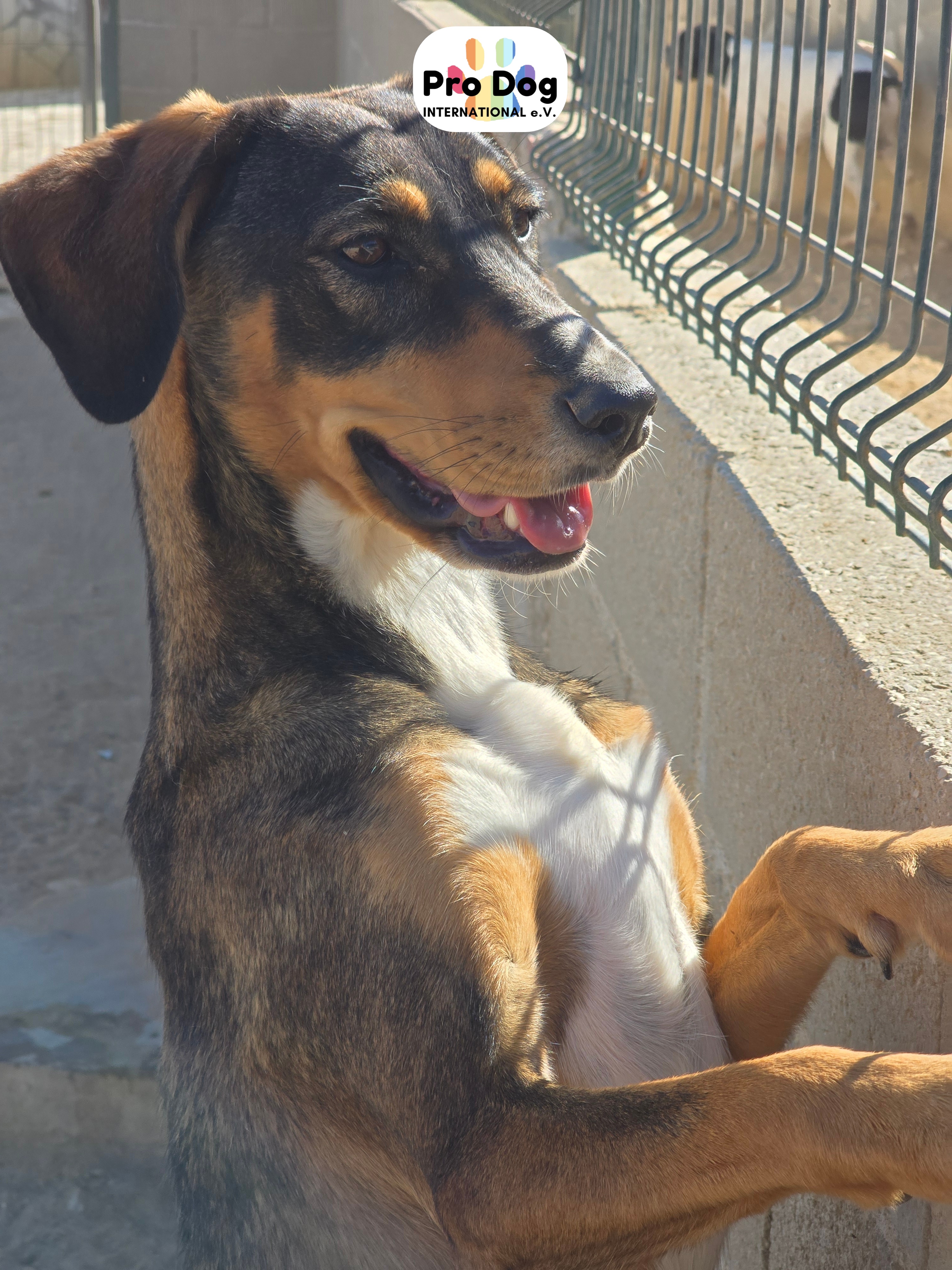 Ronja, sanft und entspannt