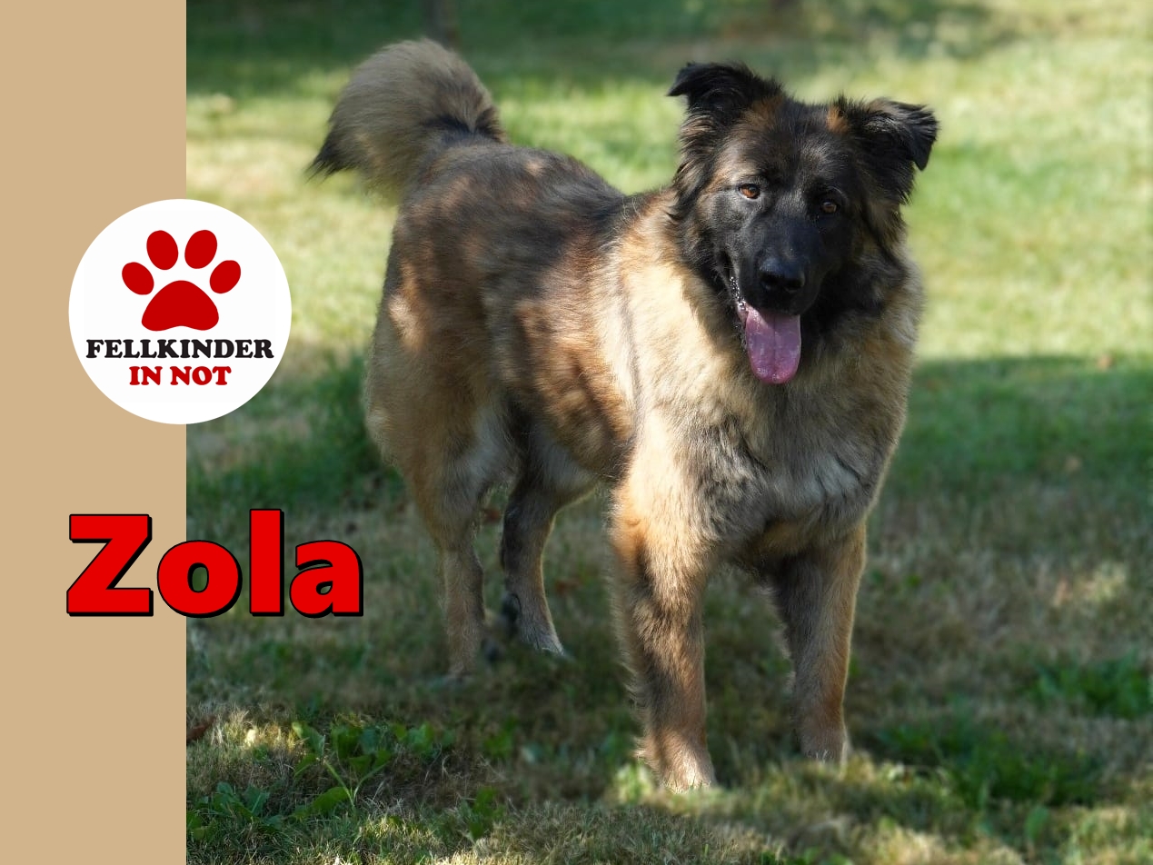 Zola