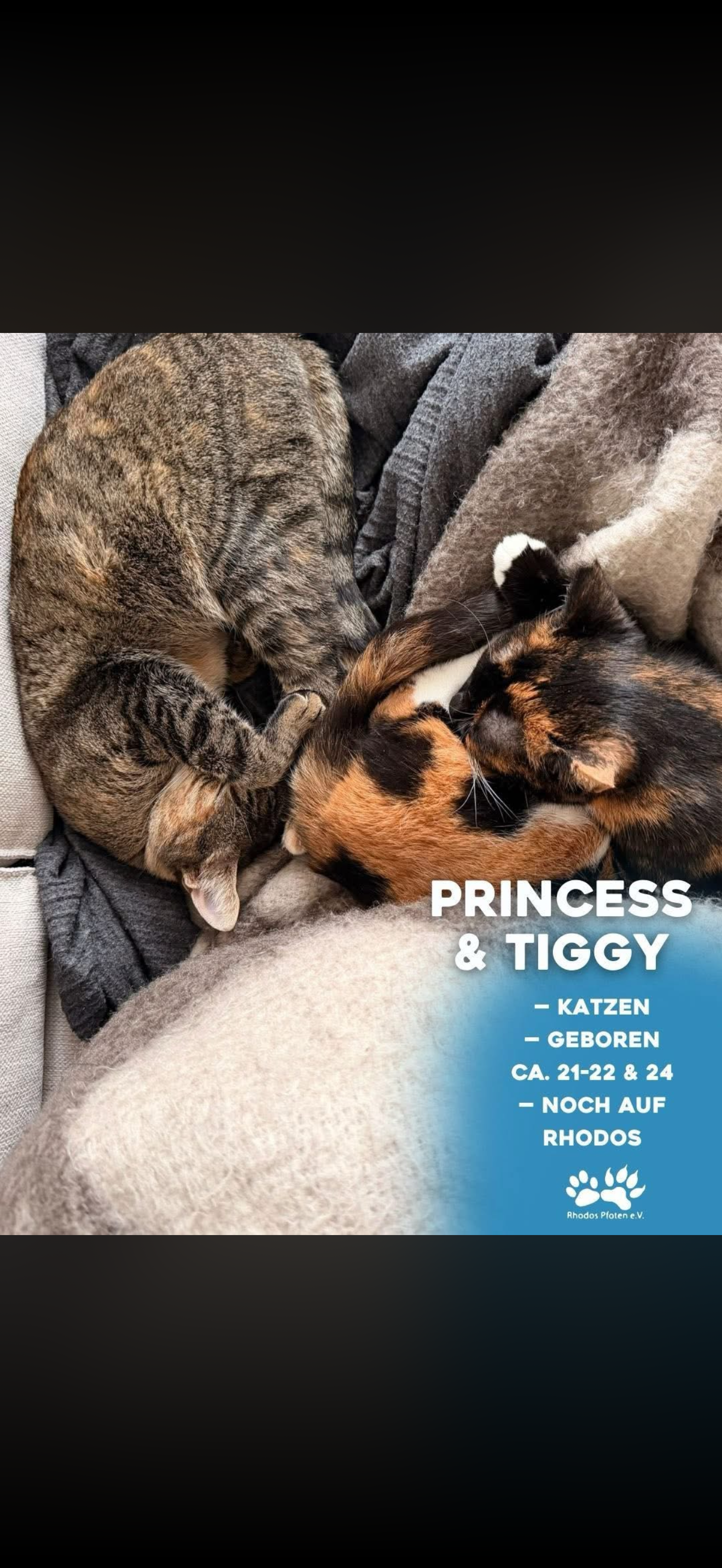 Princess und Tiggy