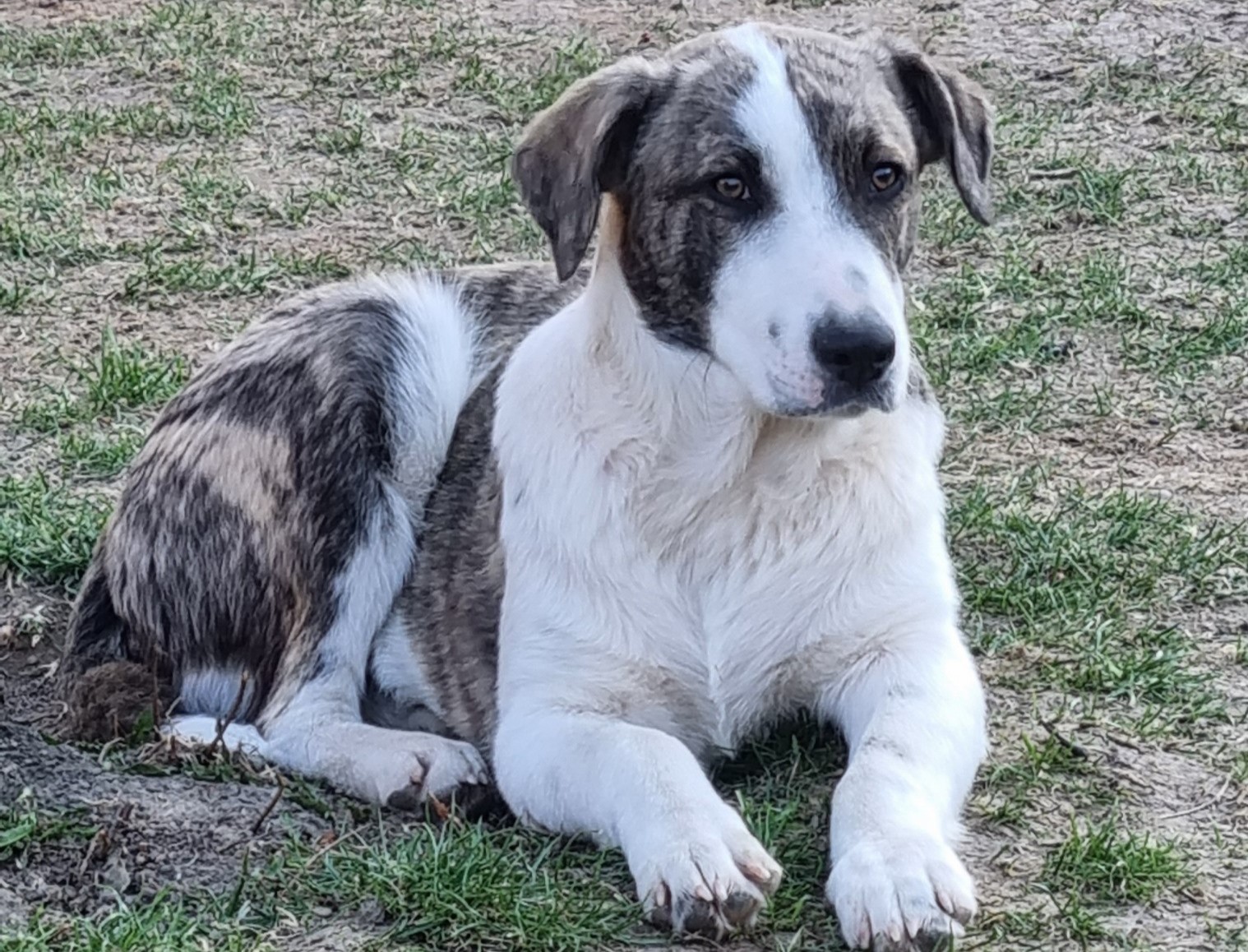 🆘NOTFALL 🙏🥺 Grapa🆘