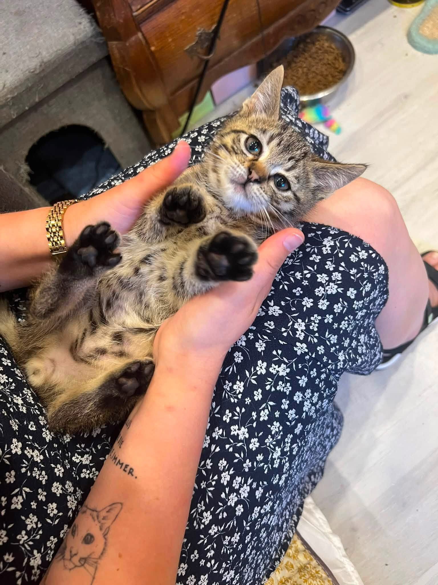 Milo