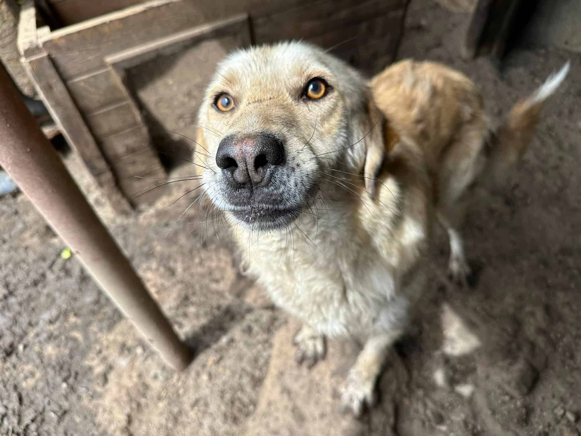 Maxi, unser Charmeur