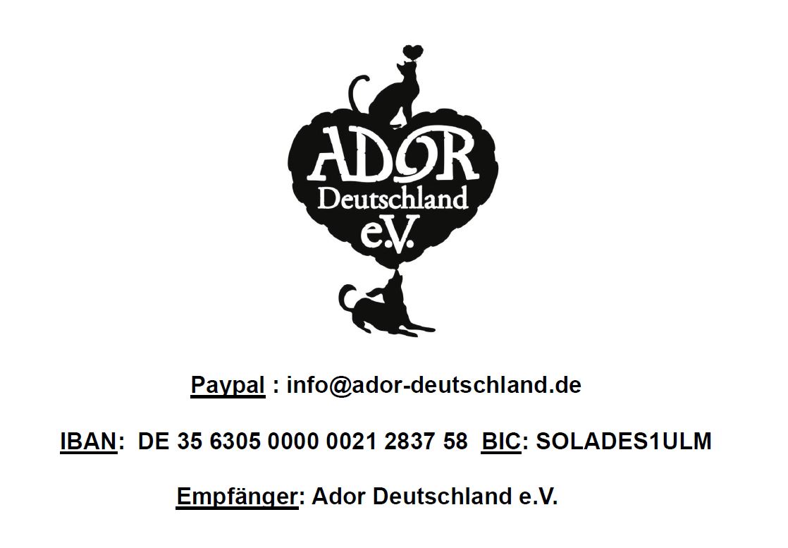 Kontaktbild von Alexandra Weckerle