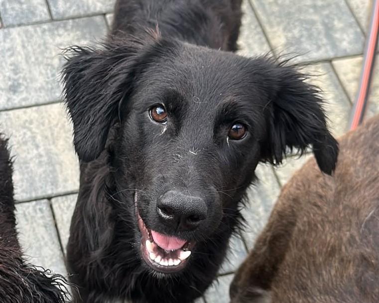 Brody💕will die Welt erkunden