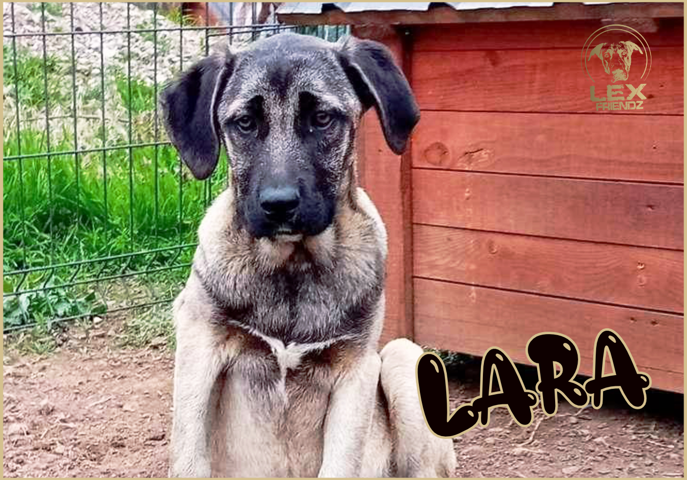 LARA