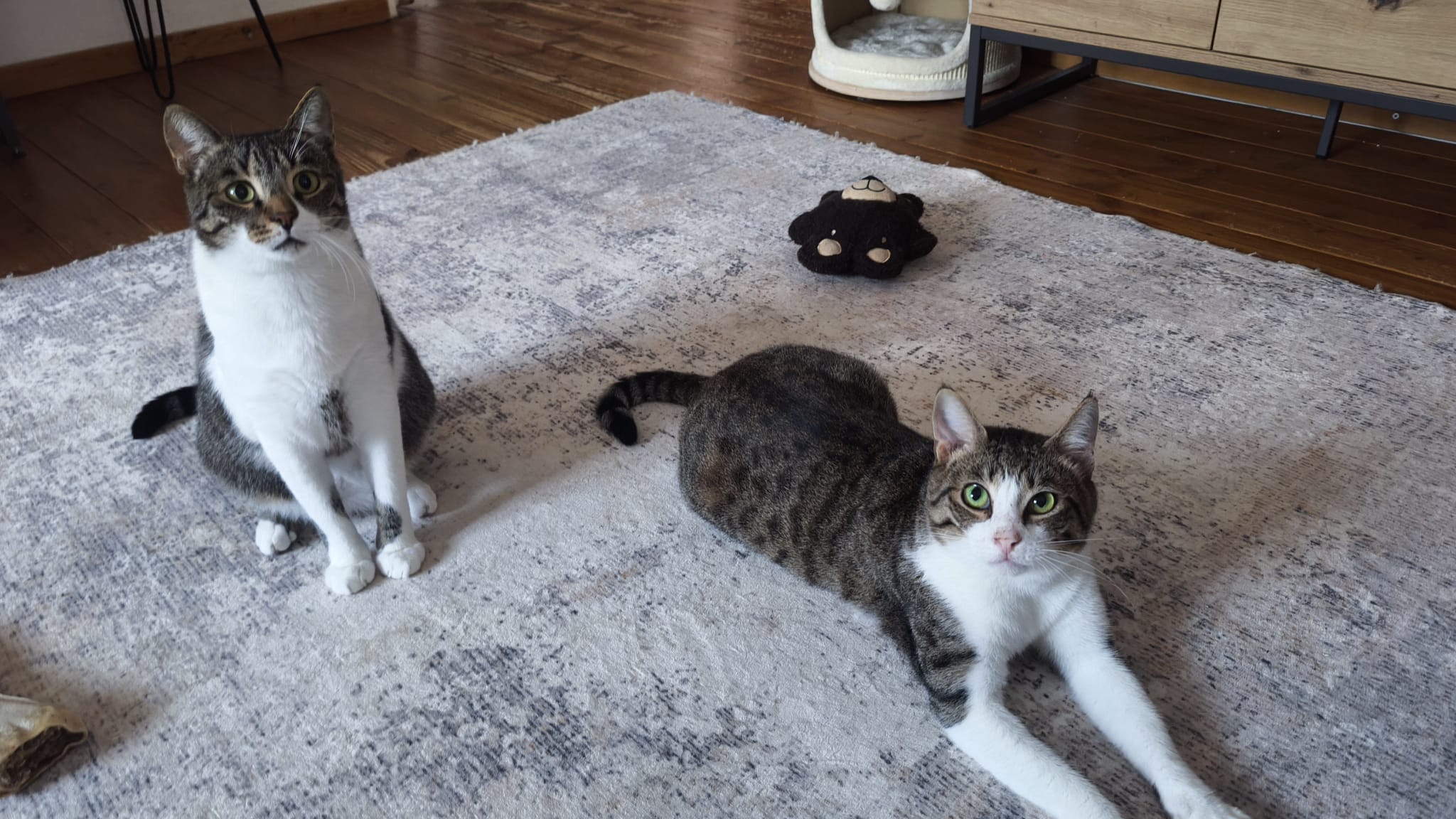 Tito und Toto Fiv+