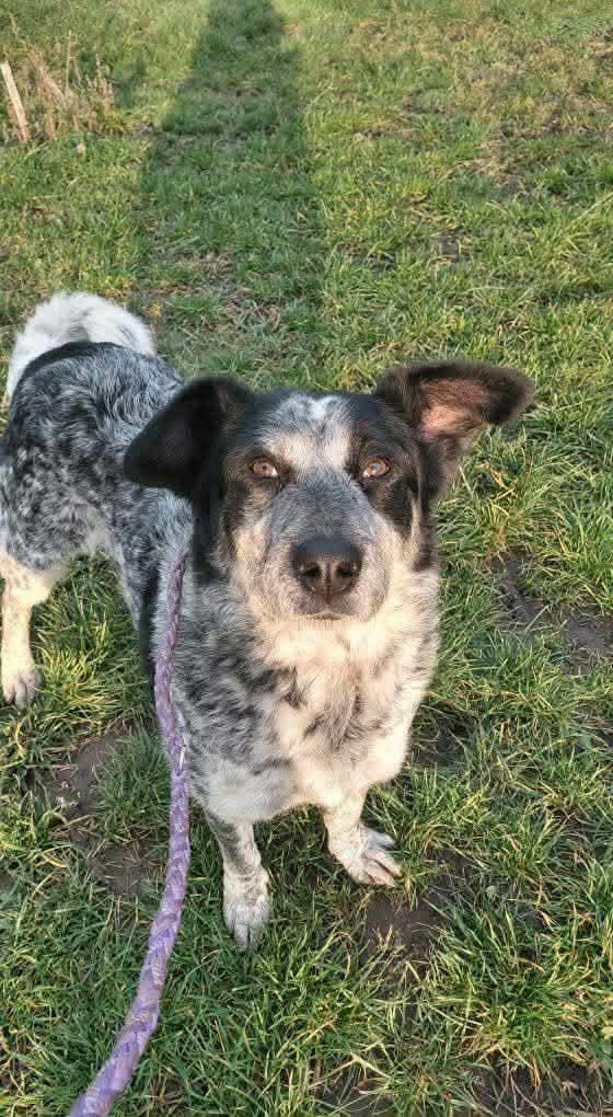 Ronja sucht ihr Zuhause