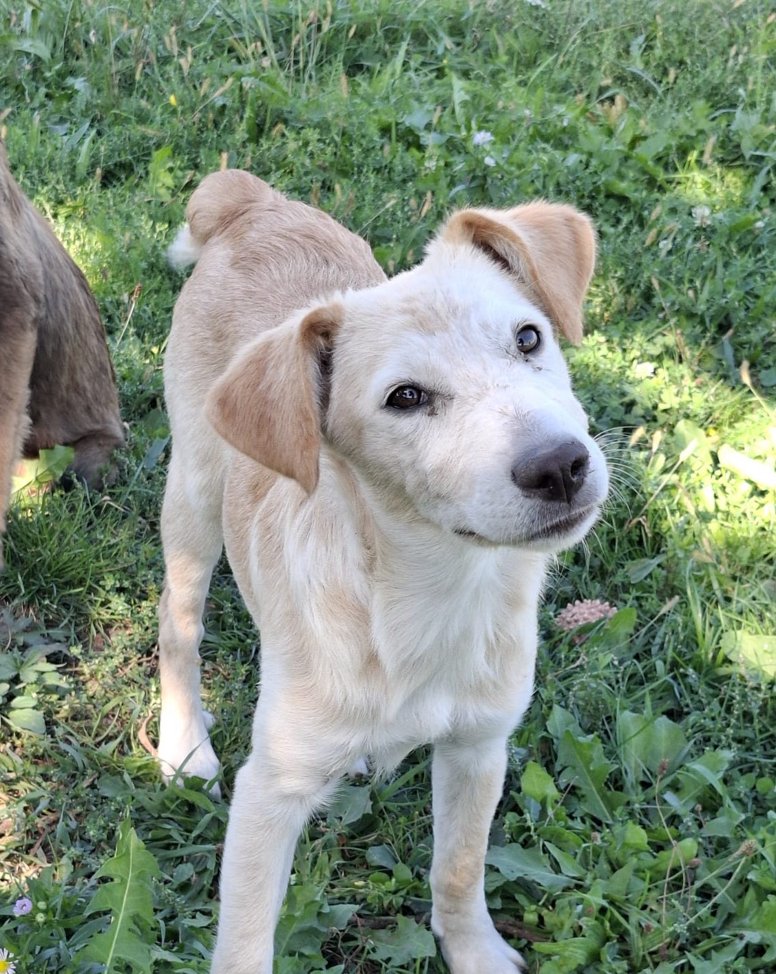 Matilda 🐾🐕