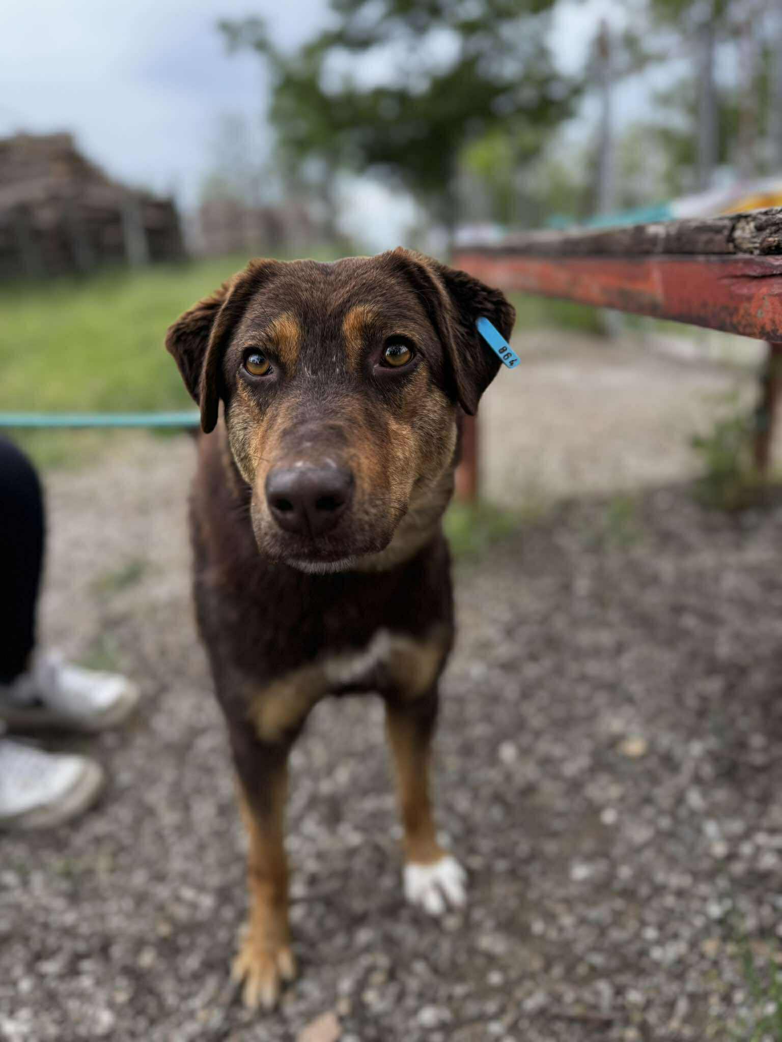 Nora ❤️
