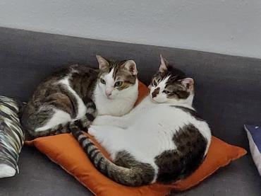 Schwestern Elli und Libby