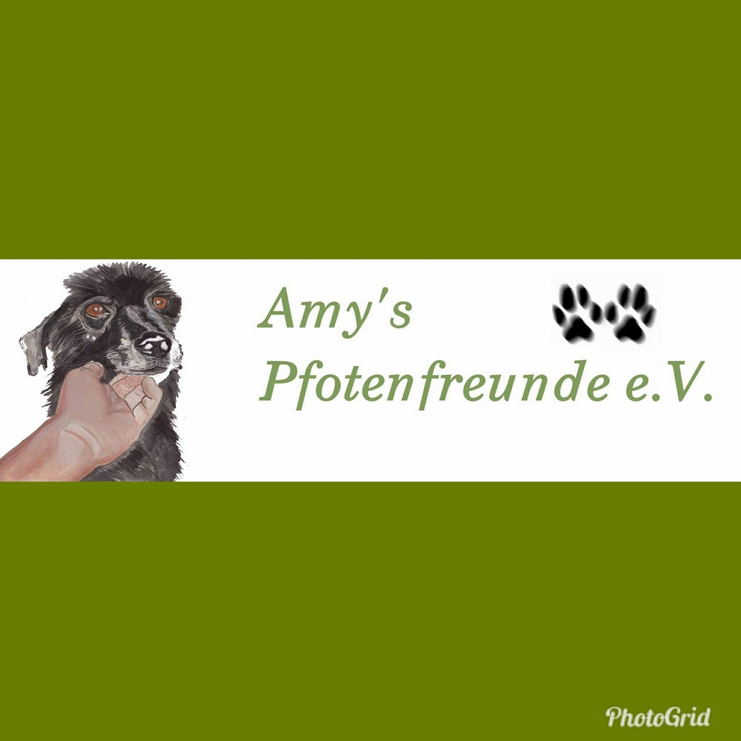 Amys Pfotenfreunde e.V.