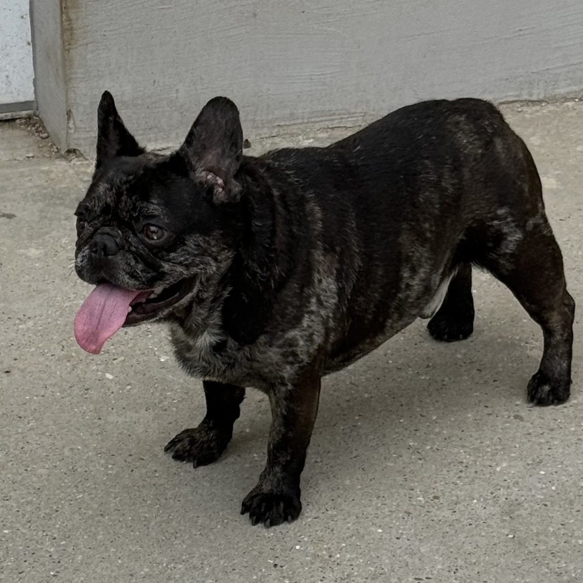 Coco