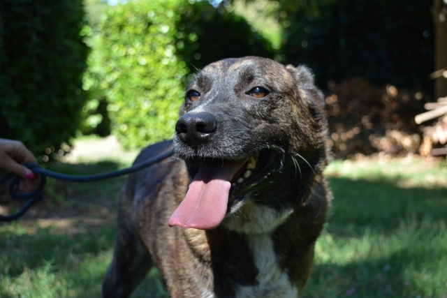 Berthie