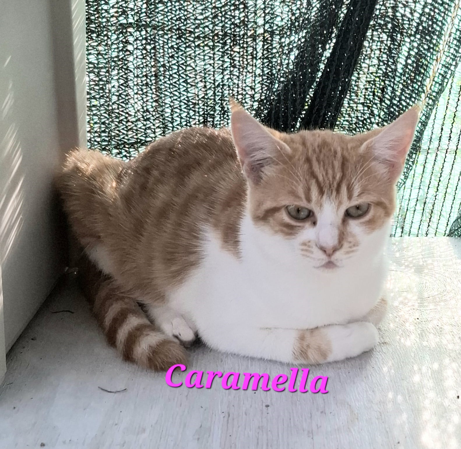 Caramella