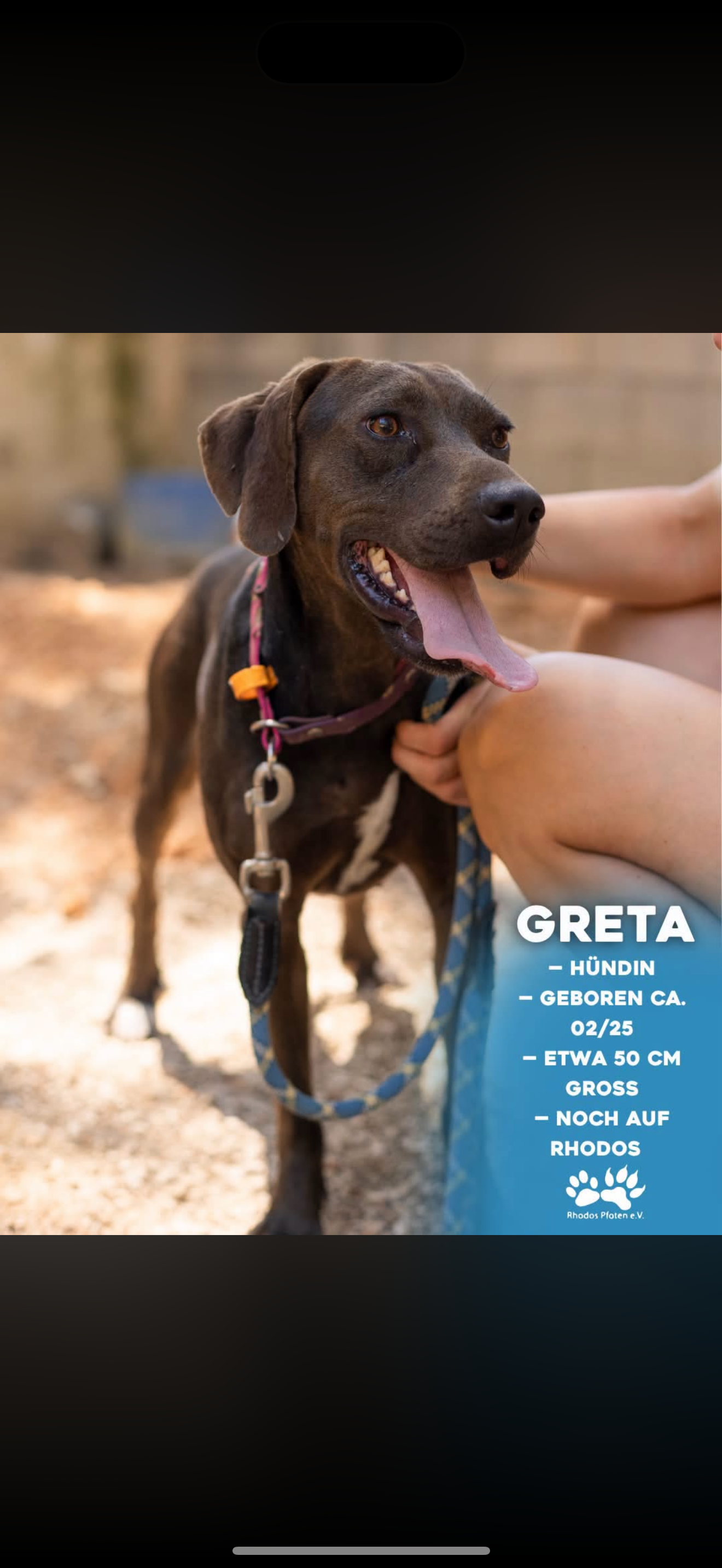 Greta