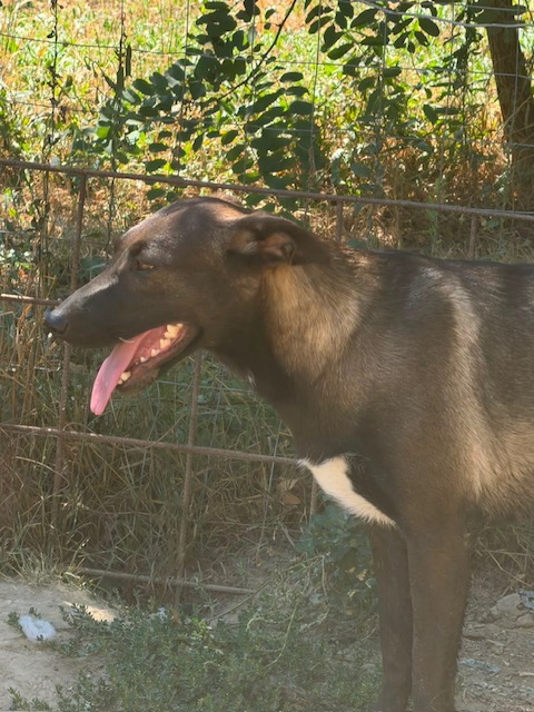 Nati