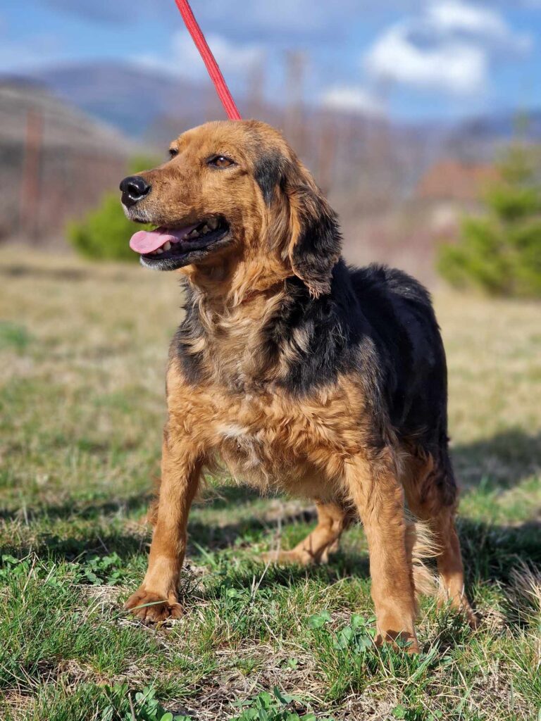 Dusko