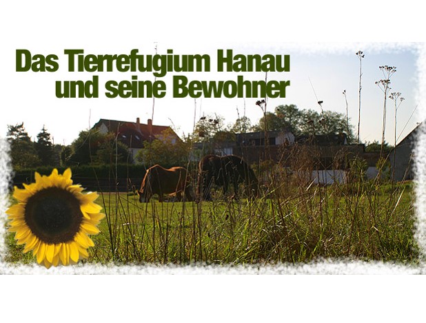 Tierrefugium Hanau