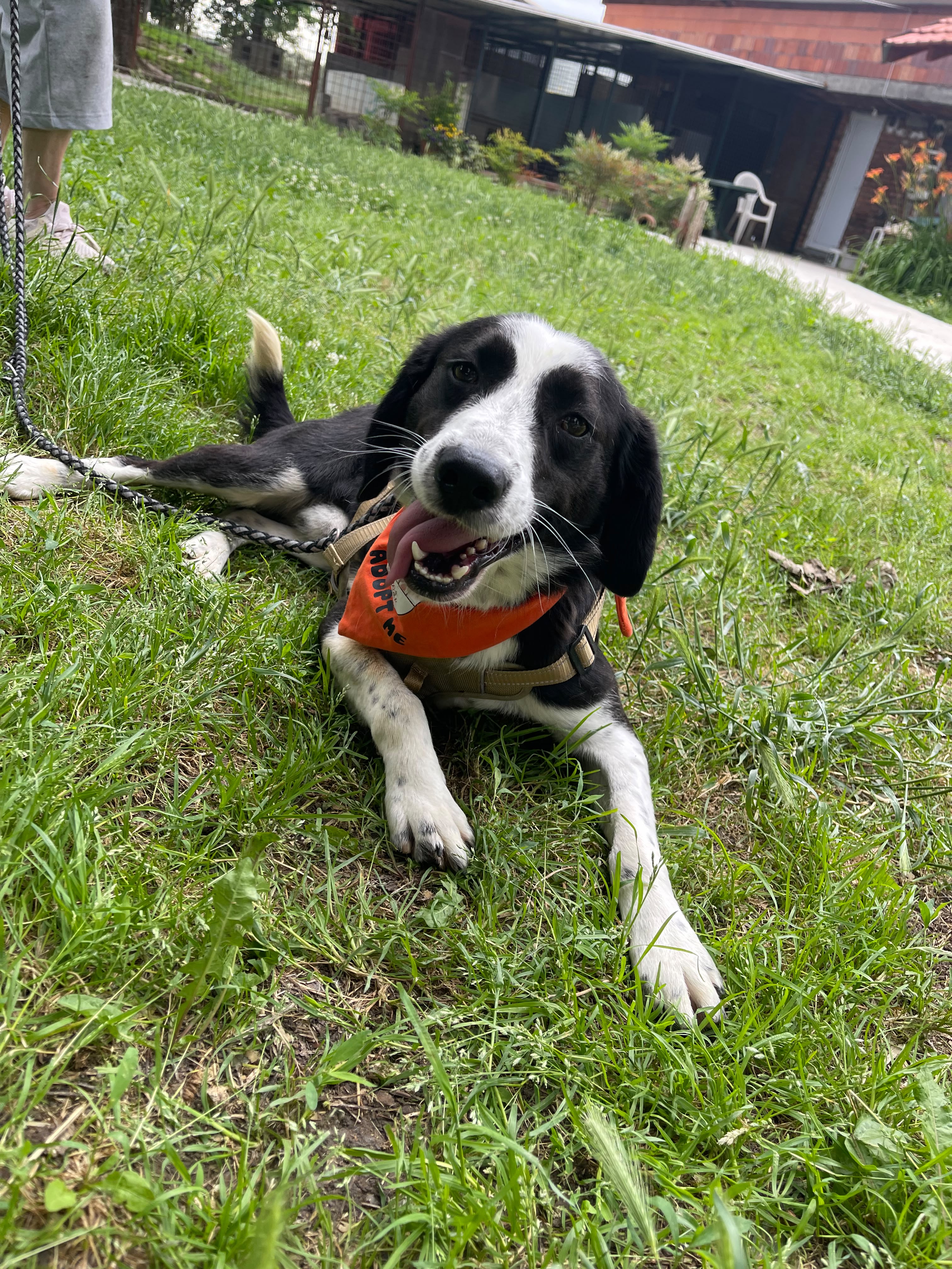 Cooper