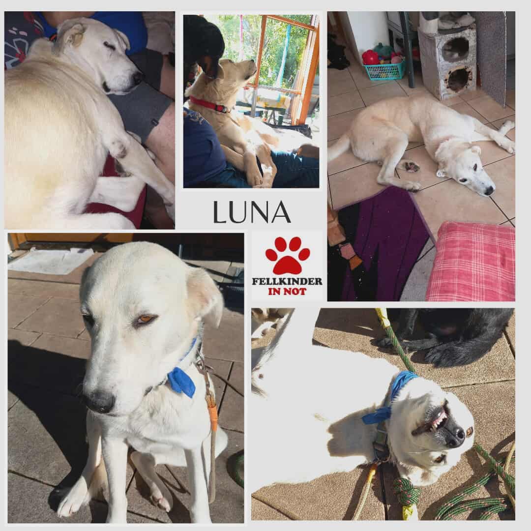 Luna