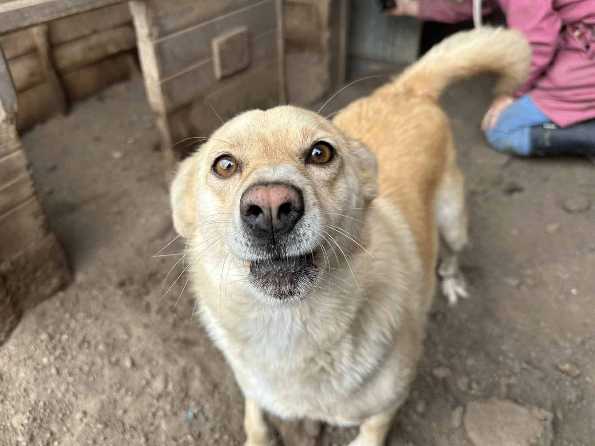 Skyla ist aufgeschlossen