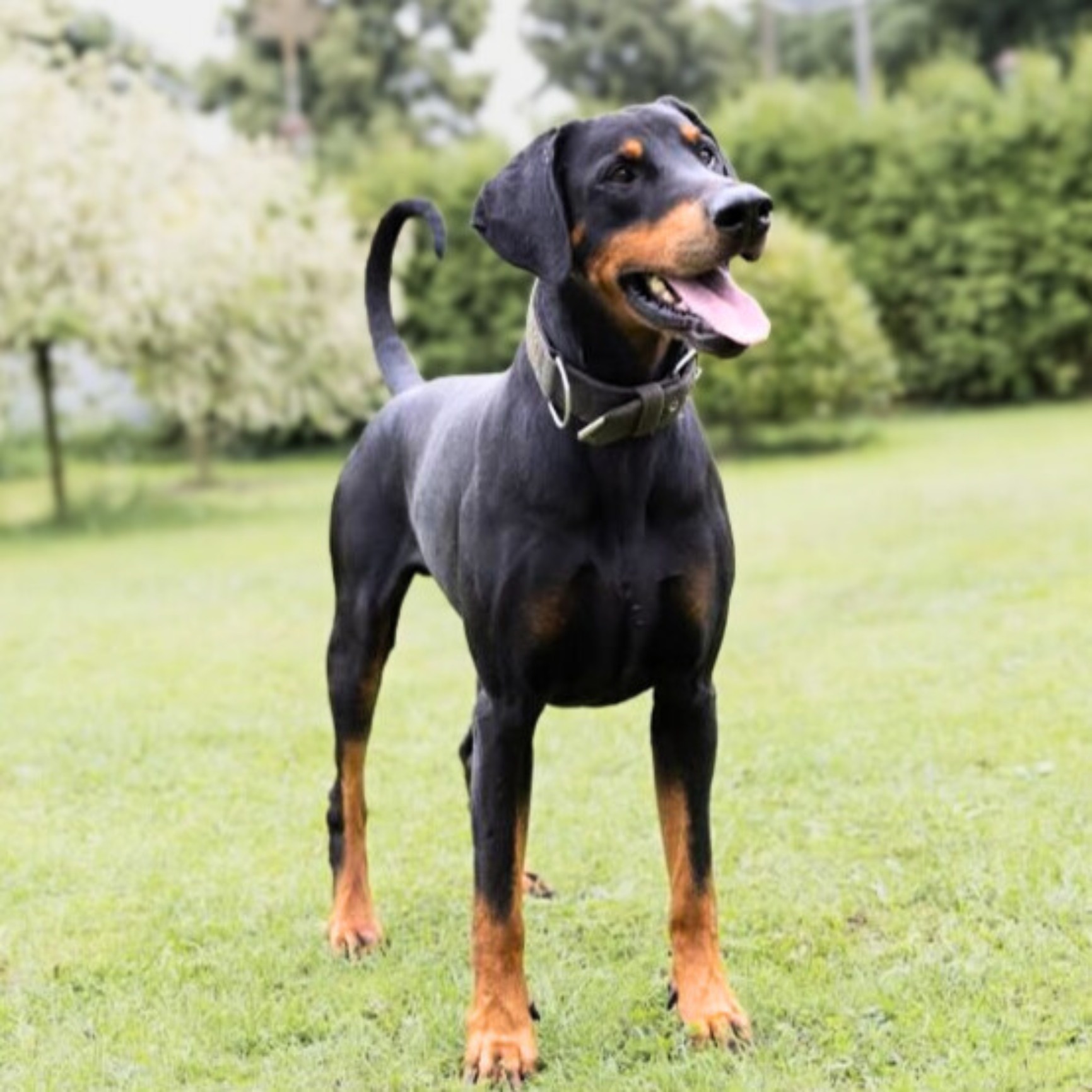 Metti🐾wartet in 07907