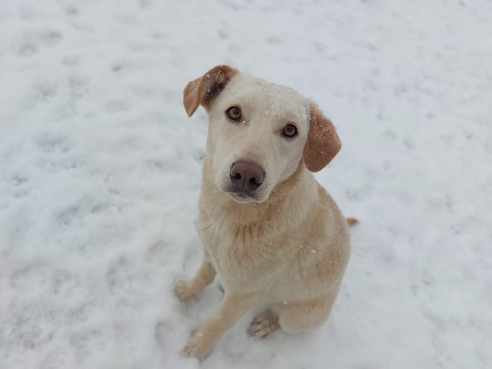 Silvia 🐾🐕