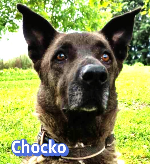 Choco