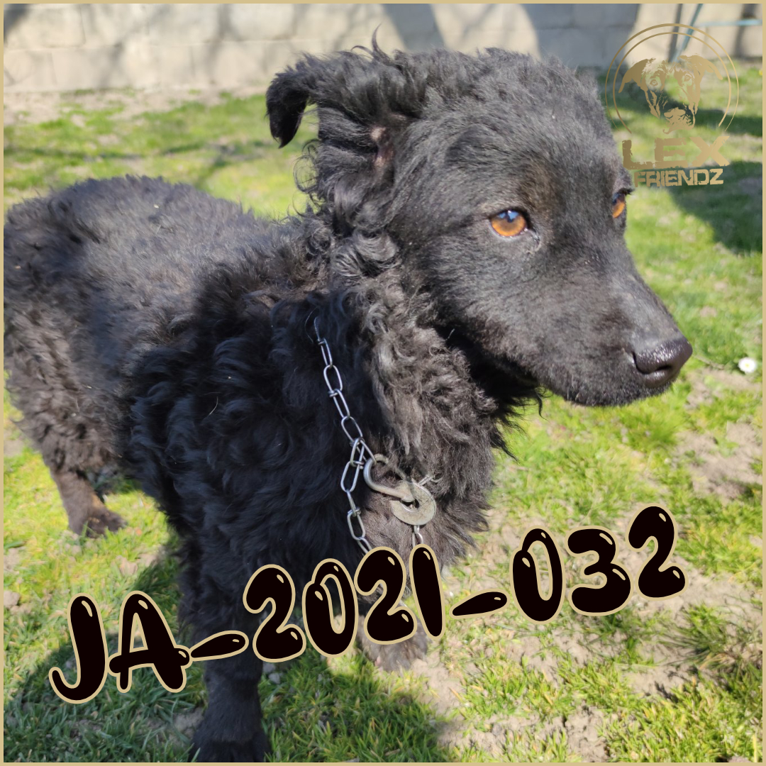 JA-2021-032