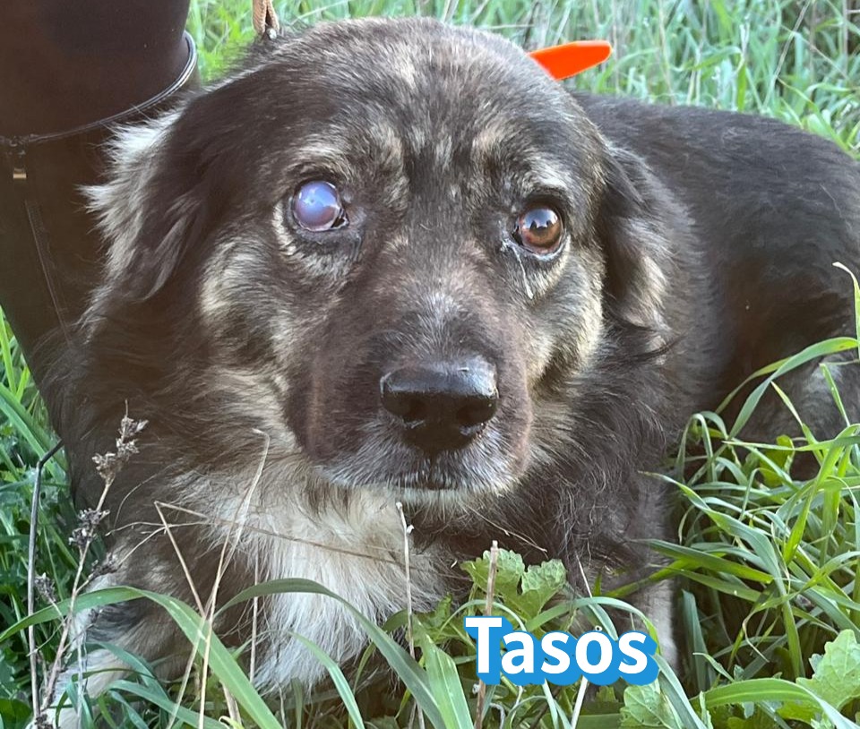 Tasos