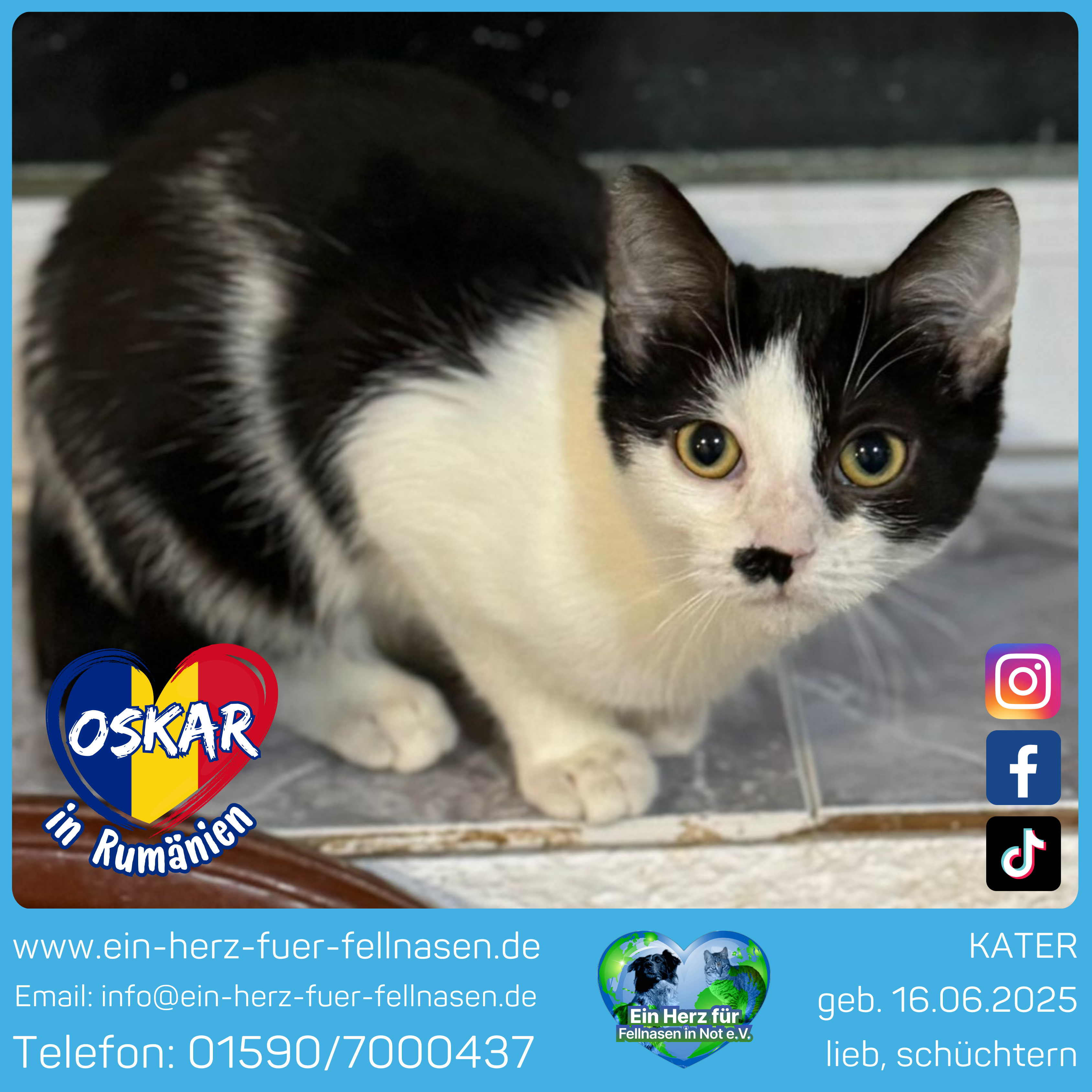 ❣️ Oskar ❣️ Freigang❣️