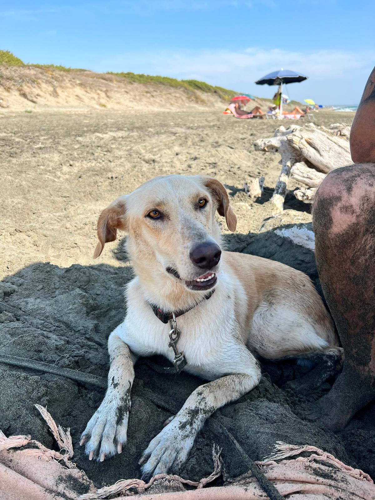 Ellie