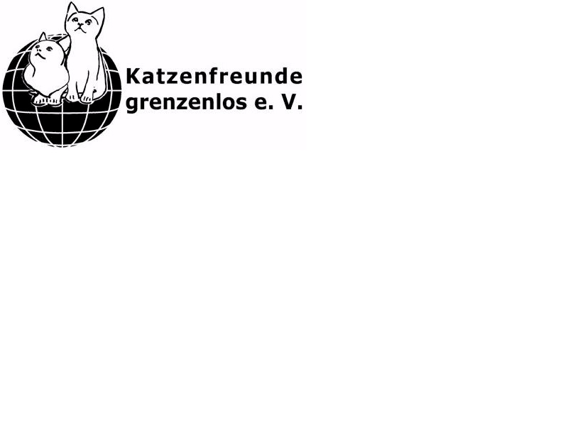 Kontaktbild von Michaela Schwalenstöcker