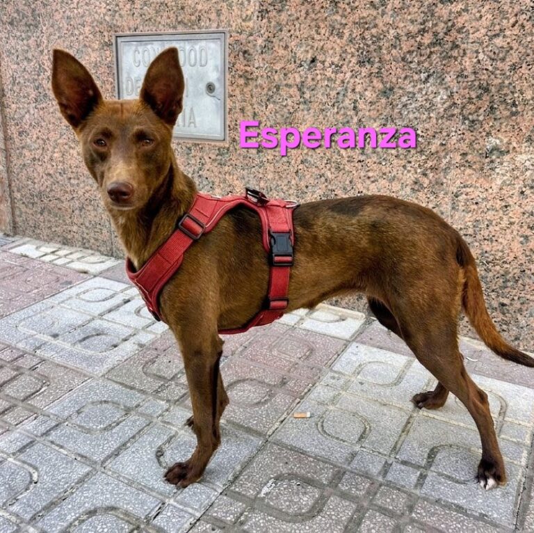 Esperanza