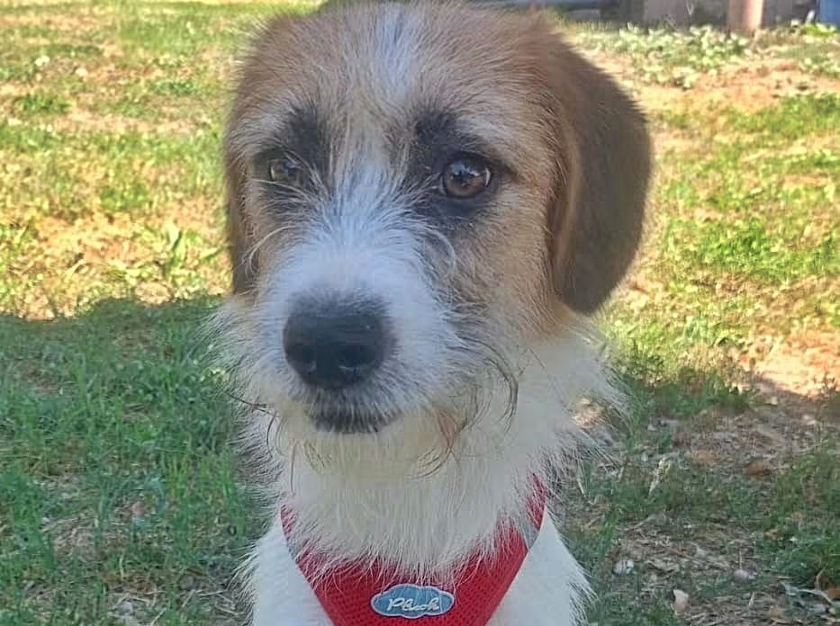 Aika, noch etwas unsicher