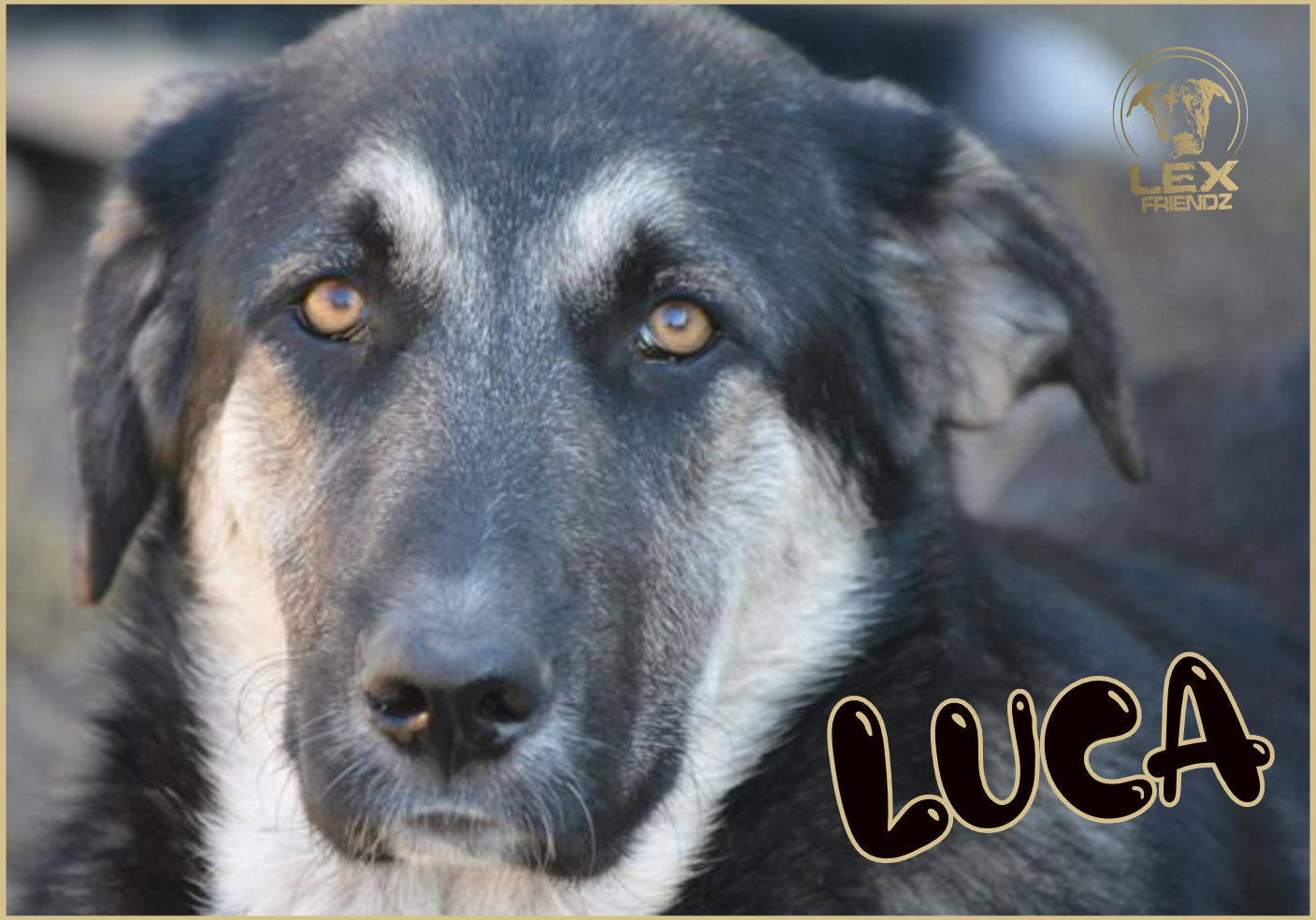 LUCA